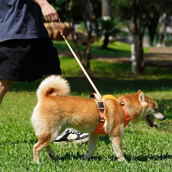 Dog Harness with Retractable Leash,No Pull Dog Harness,Automatic Anti-Burst Impact Function and Free Hands,Adjustable Dog Vest for Medium and Large Dogs