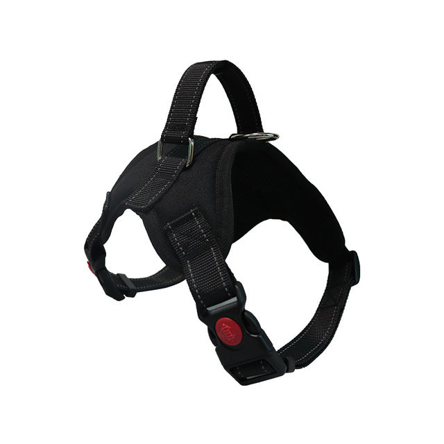 Adjustable Dog Harness & Reflective Leash Set