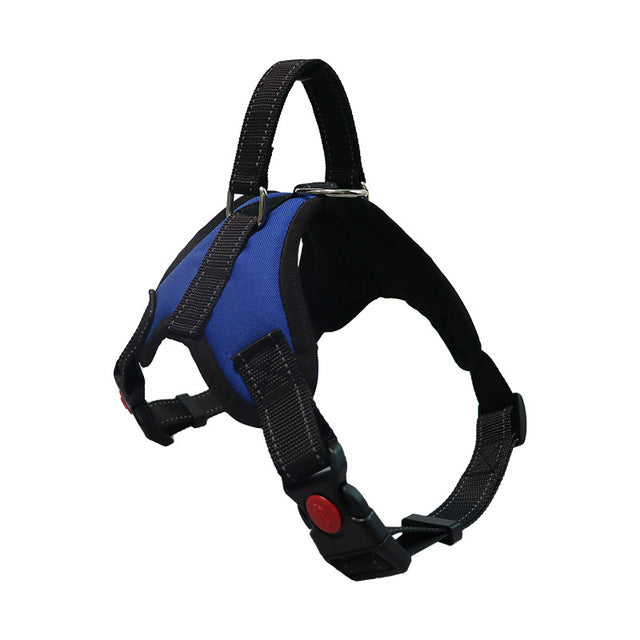 Adjustable Dog Harness & Reflective Leash Set