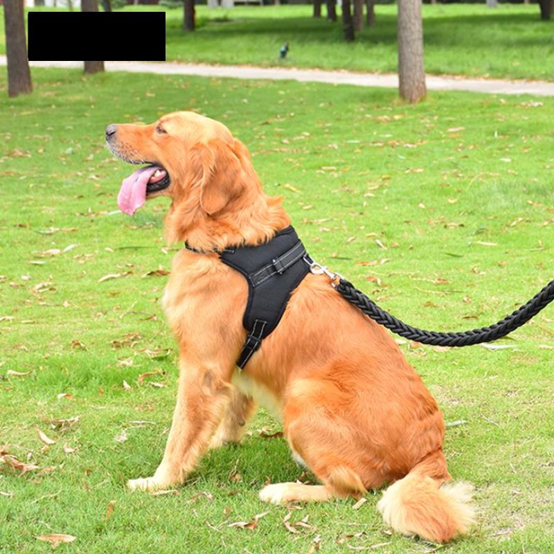 Adjustable Dog Harness & Reflective Leash Set